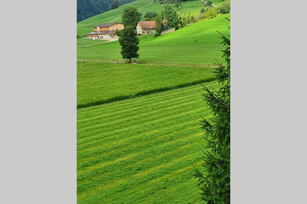 Appartement Schoene 3 1/2 In Der Zentralschweiz